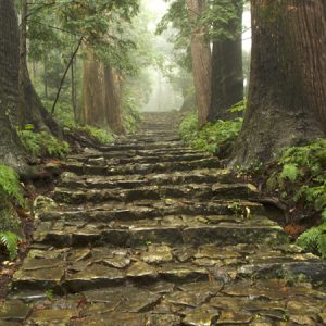 Daimonzaka, Nachi, Kumano Kodo