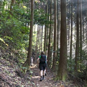 Walking trail, Kumano Kodo