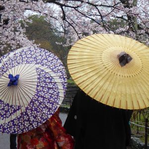 Umbrella, Wakayama