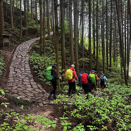 Small group walking together on a forest trail in Japan
